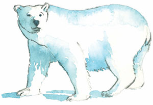 illustration of polar bear