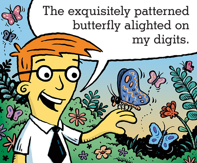 Word Nerd plays with a butterfly. Read what he says below.