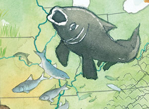 Illustration of a wide mouthed fish