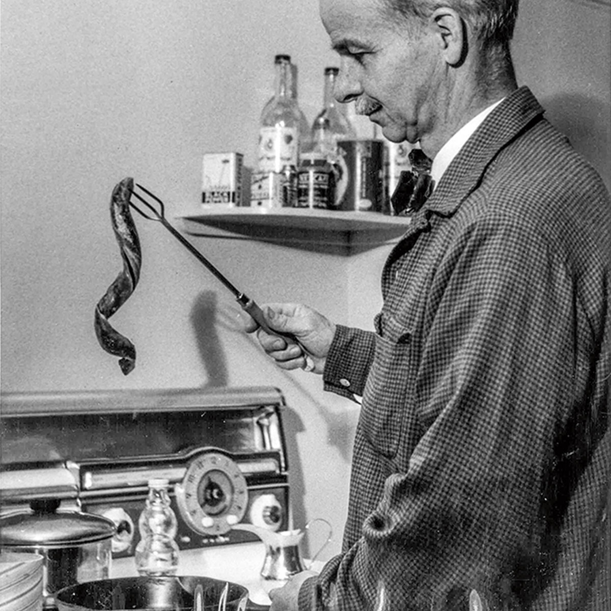 Black and white photo of a scientist cooking a lamprey