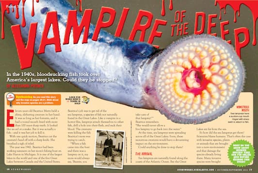 A long snake like creature with several rows of teeth in its large mouth