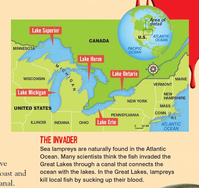 Map of the Great Lakes in Michigan