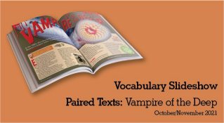 Clickable sideshow cover:  Vocabulary