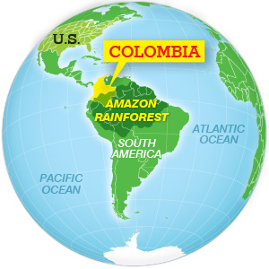 World map highlighting the Amazon Rainforest in Colombia