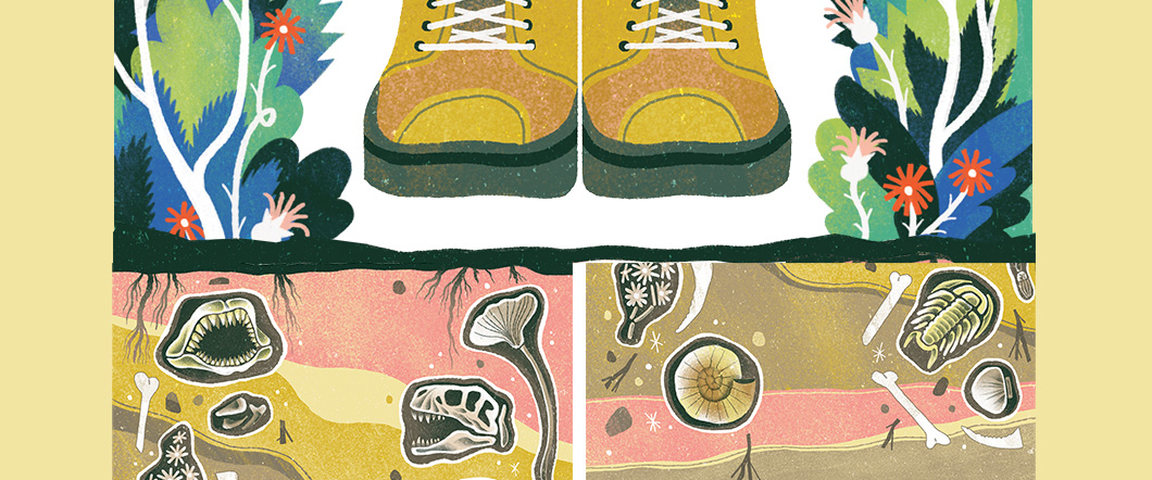 Illustration of a pair of shoes walking on sediment where dinosaur fossils lay beneath