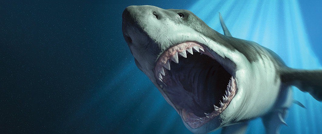 Image of a shark swimming underwater with its mouth wide open
