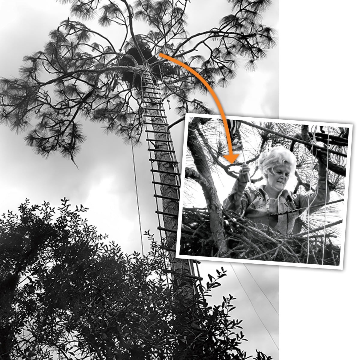 Black & white photo of a person climbing into an eagle&apos;s nest