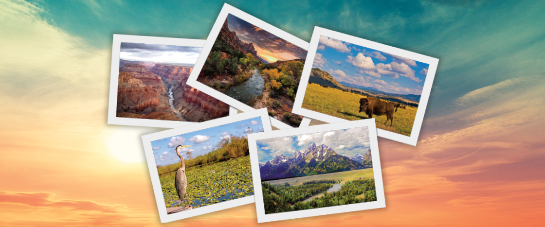 Five images of different National Parks