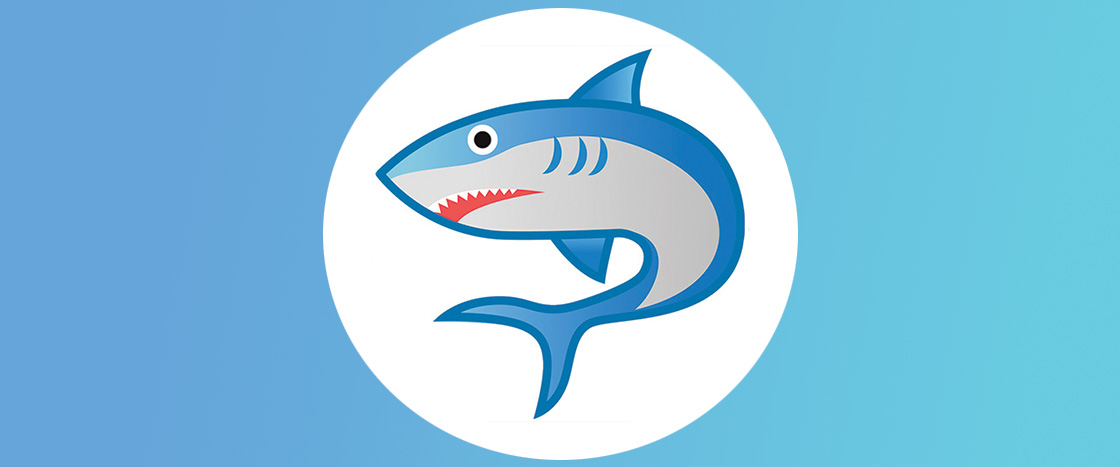 Illustration of a shark